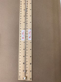*Колье р.45-50 Шар Белый Жемчуг цв Белое арт. 07-0001-00-301-1120-31-428 вес 3,58 г - фото 263999 *Колье р.45-50 Шар Белый Жемчуг цв Белое арт. 07-0001-00-301-1120-31-428 вес 3,58 г - фото 263999