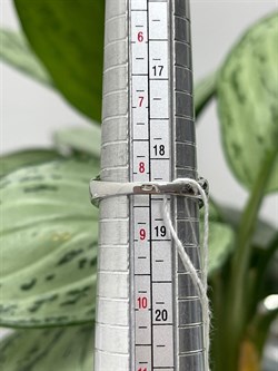 *Кольцо р.18,5  Микс  арт. AS-R00457-X-W-Y-X-BR-031 вес 6,51 г - фото 265912 *Кольцо р.18,5  Микс  арт. AS-R00457-X-W-Y-X-BR-031 вес 6,51 г - фото 265912