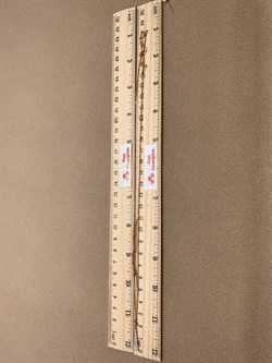 *Колье р.45-50 Белый Бр цв Красное арт 6-160476-00-00-219 вес 4,25 г - фото 266092