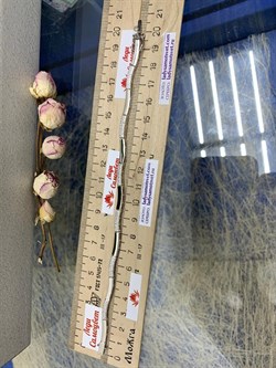 *Браслет р.19 Фианит Микро Вставки арт. MP-B00018-X-W-X-X-W-767 вес 8,5 г - фото 266331