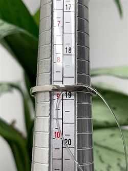 *Кольцо р.19  Красный Фианит арт. CZ-R00164-X-WBG-RG-X-W-048 вес 3,9 г - фото 266613 *Кольцо р.19  Красный Фианит арт. CZ-R00164-X-WBG-RG-X-W-048 вес 3,9 г - фото 266613