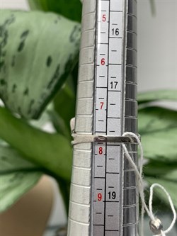 *Кольцо р.18 Аметист арт. CZ-R00008-X-W-Pur-X-W-997 вес 3,1 г - фото 267816 *Кольцо р.18 Аметист арт. CZ-R00008-X-W-Pur-X-W-997 вес 3,1 г - фото 267816