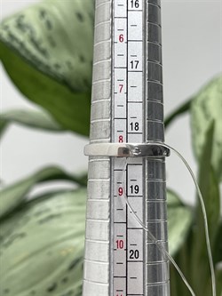 *Кольцо р.18,5 Фиалка Аметист арт. AS-R06598-X-W-Pur-X-W-978 вес 4,2 г - фото 267971 *Кольцо р.18,5 Фиалка Аметист арт. AS-R06598-X-W-Pur-X-W-978 вес 4,2 г - фото 267971