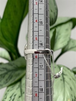 *Кольцо р.16,5 Аметист арт. AS-R11052-X-W-Pur-X-W-039 вес 6,6 г - фото 268016 *Кольцо р.16,5 Аметист арт. AS-R11052-X-W-Pur-X-W-039 вес 6,6 г - фото 268016