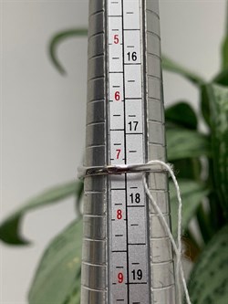 *Кольцо р.18 Микс Аметист арт. AS-R00465-X-W-Pur-X-BL-052 вес 3,69 г - фото 268949