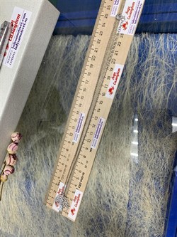 *Колье р.42 Глиттер Дерево Жизни арт. XGI00073-Rd-055 вес 3,9 г - фото 269483 *Колье р.42 Глиттер Дерево Жизни арт. XGI00073-Rd-055 вес 3,9 г - фото 269483