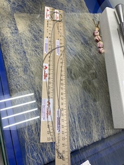 *Колье р.43-70 арт. XGI01270-RdY вес 11,01 г - фото 269648 *Колье р.43-70 арт. XGI01270-RdY вес 11,01 г - фото 269648