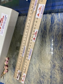 *Колье р.45 Перлина арт. XGI01651-Rd вес 5,61 г - фото 269662 *Колье р.45 Перлина арт. XGI01651-Rd вес 5,61 г - фото 269662