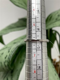 *Кольцо р.16,5 Дымчатый Кварц арт. NS-R00684-X-W-BR-X-X-539 вес 8,1 г - фото 269781 *Кольцо р.16,5 Дымчатый Кварц арт. NS-R00684-X-W-BR-X-X-539 вес 8,1 г - фото 269781