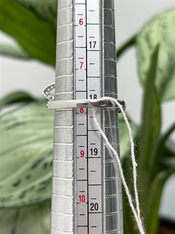 *Кольцо р.18 Голубой Топаз арт. AS-R11042-X-W-BT-X-W-613 вес 4,1 г - фото 270102