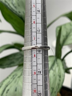 *Кольцо р.17,5 Празиолит арт. AS-R06283-X-W-S-X-W-954 вес 4,7 г - фото 270227 *Кольцо р.17,5 Празиолит арт. AS-R06283-X-W-S-X-W-954 вес 4,7 г - фото 270227