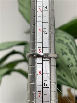 *Кольцо р.16 Празиолит арт. AS-R06283-X-W-S-X-W-197 вес 4,7 г - фото 270230 *Кольцо р.16 Празиолит арт. AS-R06283-X-W-S-X-W-197 вес 4,7 г - фото 270230