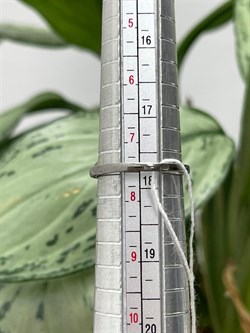 *Кольцо р.18 Аметист арт.AS-R00544-X-W-Pur-X-R-149 вес 3,3 г - фото 270330 *Кольцо р.18 Аметист арт.AS-R00544-X-W-Pur-X-R-149 вес 3,3 г - фото 270330