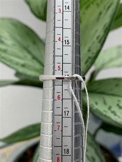 *Кольцо р.16 Голубой Топаз Сапфир арт. RB-R00387-X-W-BU-X-BL-270 вес 2,9 г - фото 270430 *Кольцо р.16 Голубой Топаз Сапфир арт. RB-R00387-X-W-BU-X-BL-270 вес 2,9 г - фото 270430