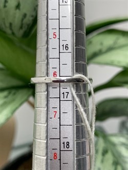 *Кольцо р.16,5 Голубой Топаз арт. AS-R11077-X-W-BU-X-W вес 3,3 г - фото 271405