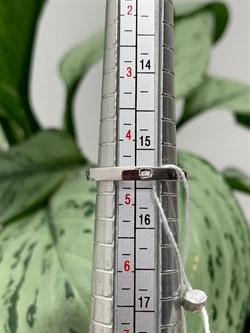 *Кольцо р.15,5 Белый Фианит Микро Вставки арт. MP-R65017-X-W-W-X-X-794 вес 4,07 г - фото 272124