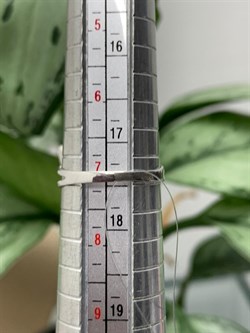 *Кольцо р.17 Дымчатый Кварц арт. CZ-R00005-X-W-BR-X-W-130 вес 3 г - фото 272345