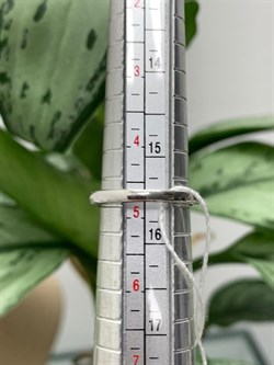 *Кольцо р.15,5 Корунд Рубин арт. 4RDR6989-CZ-252 вес 2,7 г - фото 272383 *Кольцо р.15,5 Корунд Рубин арт. 4RDR6989-CZ-252 вес 2,7 г - фото 272383