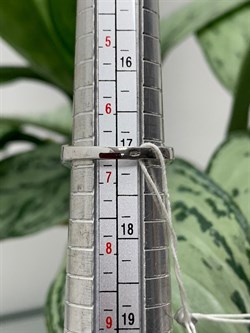 *Кольцо р.17 Топаз Лондон арт. CZ-R00018-X-W-BU-X-W-164 вес 3,61 г - фото 272434 *Кольцо р.17 Топаз Лондон арт. CZ-R00018-X-W-BU-X-W-164 вес 3,61 г - фото 272434