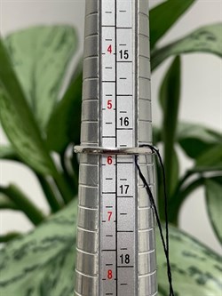 *Кольцо Р.16 Зеленый Агат арт. 01-0293/00АГ-00-433 вес 1,32 г - фото 275133 *Кольцо Р.16 Зеленый Агат арт. 01-0293/00АГ-00-433 вес 1,32 г - фото 275133