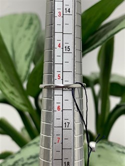 *Кольцо р.16 Гранат Пироп арт. 01-0293/00ГР-00-484 Вес 1,27 г - фото 275142