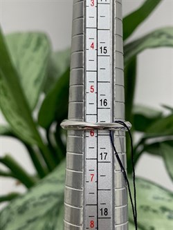 *Кольцо р.16,5 Гранат Пироп арт. 01-2163/00ГР-00-315 Вес 3,10 г - фото 275718 *Кольцо р.16,5 Гранат Пироп арт. 01-2163/00ГР-00-315 Вес 3,10 г - фото 275718