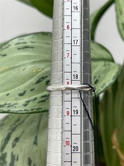 *Кольцо р.18,5 Цитрин арт. 01-2145/00ЦТ-00-585 вес 2,08 г - фото 277216