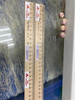 *Браслет р.17-19 Белый Фианит арт. 05-2799/00СВ-00-071 вес 1,93 г - фото 278652 *Браслет р.17-19 Белый Фианит арт. 05-2799/00СВ-00-071 вес 1,93 г - фото 278652