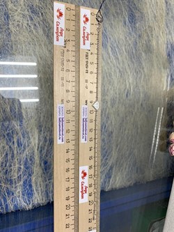 *Браслет р.17-19 Эмаль арт. 05-1348/0ЭМ1-00-444 Вес 2,44 г - фото 278946 *Браслет р.17-19 Эмаль арт. 05-1348/0ЭМ1-00-444 Вес 2,44 г - фото 278946