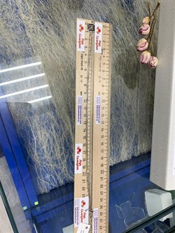 *Колье р.45-50 Белый Бр. арт. 06-2521/000Б-17-141 вес 3,9 г - фото 279519