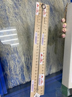 *Колье р.50-55 Эмаль арт. 06-2761/0ЭМ3-00-579 вес 4,4 г - фото 280604 *Колье р.50-55 Эмаль арт. 06-2761/0ЭМ3-00-579 вес 4,4 г - фото 280604