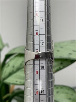 *Кольцо р.17,25 арт. AN1551-846 вес 7,95 г - фото 281466 *Кольцо р.17,25 арт. AN1551-846 вес 7,95 г - фото 281466