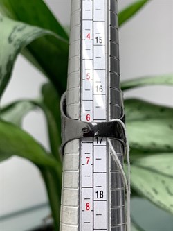 *Кольцо р.16,75 арт. AN1580-228 вес 8.93 г - фото 281491