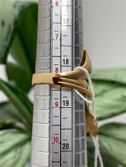 *Кольцо р.18,5 арт. AN1741-S-296 вес 7,93 г - фото 281615 *Кольцо р.18,5 арт. AN1741-S-296 вес 7,93 г - фото 281615