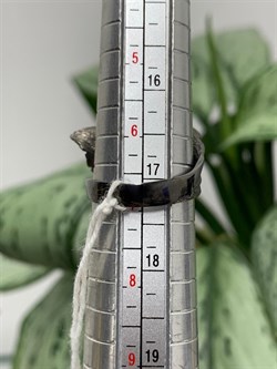 *Кольцо р.17 Лист арт. AN1904-626 вес 4,68 г - фото 281686 *Кольцо р.17 Лист арт. AN1904-626 вес 4,68 г - фото 281686