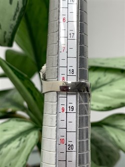 *Кольцо р.18,5 Листья арт. AN1907-890 вес 5,61 г - фото 281718 *Кольцо р.18,5 Листья арт. AN1907-890 вес 5,61 г - фото 281718