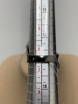 *Кольцо р.17 Листья арт. AN1907-575 вес 5,24 г - фото 281793 *Кольцо р.17 Листья арт. AN1907-575 вес 5,24 г - фото 281793