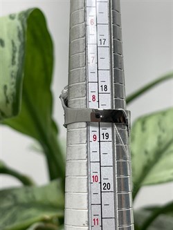 *Кольцо р.18,75 Листья арт. AN1907-834 вес 5,7 г - фото 282355