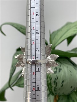 *Кольцо р.17 Цвето Серебристый Жемчуг арт. SIT-A5674-WAU-884 Вес 10.78 г - фото 284086 *Кольцо р.17 Цвето Серебристый Жемчуг арт. SIT-A5674-WAU-884 Вес 10.78 г - фото 284086