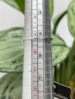 *Кольцо р.19 арт. CVAN5-250 вес 3,23 г - фото 284221 *Кольцо р.19 арт. CVAN5-250 вес 3,23 г - фото 284221