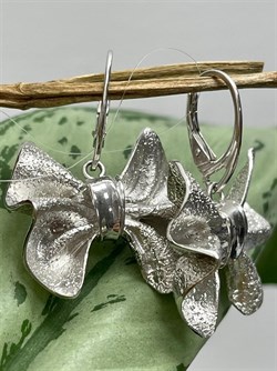 *Серьги Банты арт. OR1983-340 вес 14,01 г - фото 284665 *Серьги Банты арт. OR1983-340 вес 14,01 г - фото 284665