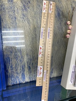 *Колье р.38-43+5см Белый Фианит арт. 06-2802/00СВ-00-075 вес 5,06 г - фото 285666