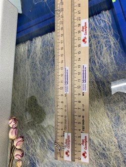 *Колье р.40-45 Белый Бр арт. 06-2900/000Б-00-377 вес 3,21 г - фото 285704