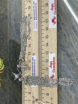 *Серьги Пусеты арт. SIT-STORSCRP-847 вес 5,95 г - фото 285926 *Серьги Пусеты арт. SIT-STORSCRP-847 вес 5,95 г - фото 285926