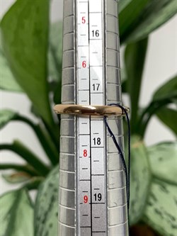 *Кольцо р.17,5 Гранат Пироп арт. 01-2526/00ГР-06-356 Вес 4,02 г - фото 286249 *Кольцо р.17,5 Гранат Пироп арт. 01-2526/00ГР-06-356 Вес 4,02 г - фото 286249