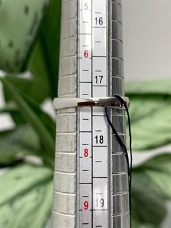 *Кольцо р.17,5 Зеленый Агат арт. 01-1214/00АГ-00-324 вес 2,14 г - фото 286300 *Кольцо р.17,5 Зеленый Агат арт. 01-1214/00АГ-00-324 вес 2,14 г - фото 286300