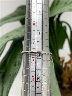 *Кольцо р.18 Белый Бр арт. 01-2880/000Б-17-815 Вес 2,95 г - фото 286381 *Кольцо р.18 Белый Бр арт. 01-2880/000Б-17-815 Вес 2,95 г - фото 286381