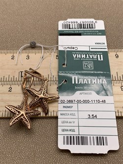 *Серьги Морские звёзды цв Красное арт. 02-3697-00-000-1110-48-420 вес 3,54 г - фото 290394 *Серьги Морские звёзды цв Красное арт. 02-3697-00-000-1110-48-420 вес 3,54 г - фото 290394