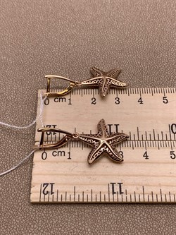 *Серьги Морские звёзды цв Красное арт. 02-3697-00-000-1110-48-420 вес 3,54 г - фото 290395 *Серьги Морские звёзды цв Красное арт. 02-3697-00-000-1110-48-420 вес 3,54 г - фото 290395