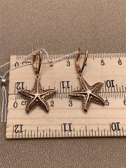 *Серьги Морские звёзды цв Красное арт. 02-3697-00-000-1110-48-420 вес 3,54 г - фото 290396 *Серьги Морские звёзды цв Красное арт. 02-3697-00-000-1110-48-420 вес 3,54 г - фото 290396